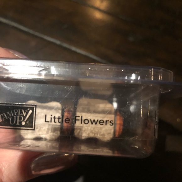 STAMPN’UP - Stamps - Picture 3 of 3